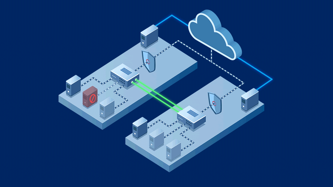 animated infographics